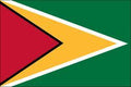 Guyana 3x5 Flag
