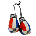 Dominican Republic Boxing Glove